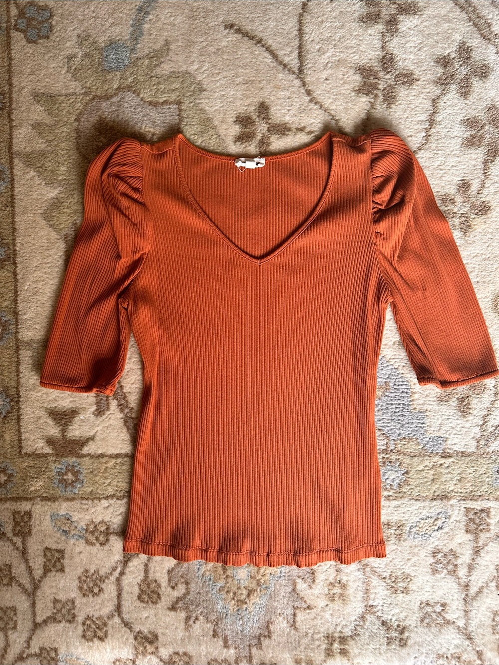 Sugar Lips Rust Cinnamon Ribbed Puff Sleeve V-Neck Top Medium